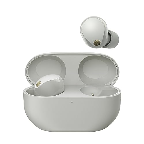 Sony WF-1000XM5 Cuffie Wireless con Noise Cancelling, Bluetooth, Cuffie In-Ear con Microfono, Fino a 24 ore di durata della batteria e Ricarica Rapida, IPX4, Funziona con iOS e Android-Argento